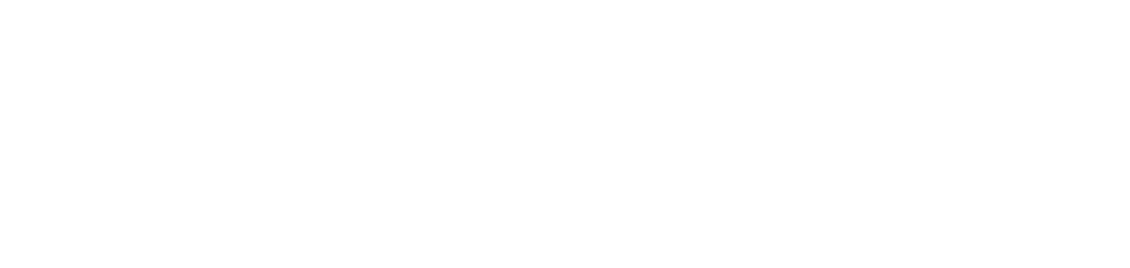 Логотип ENVY
